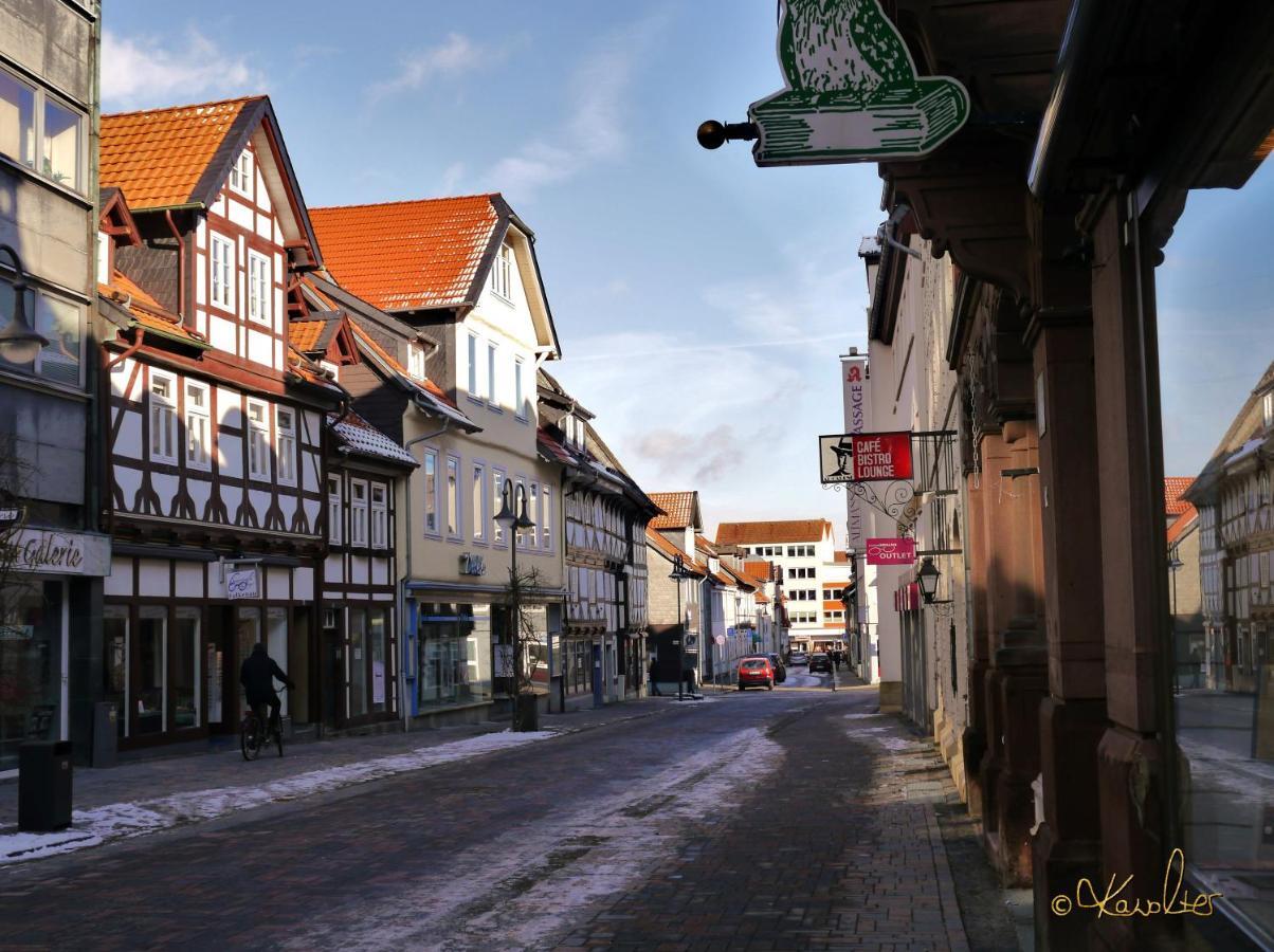Haus-Wolter Lägenhet Goslar Exteriör bild