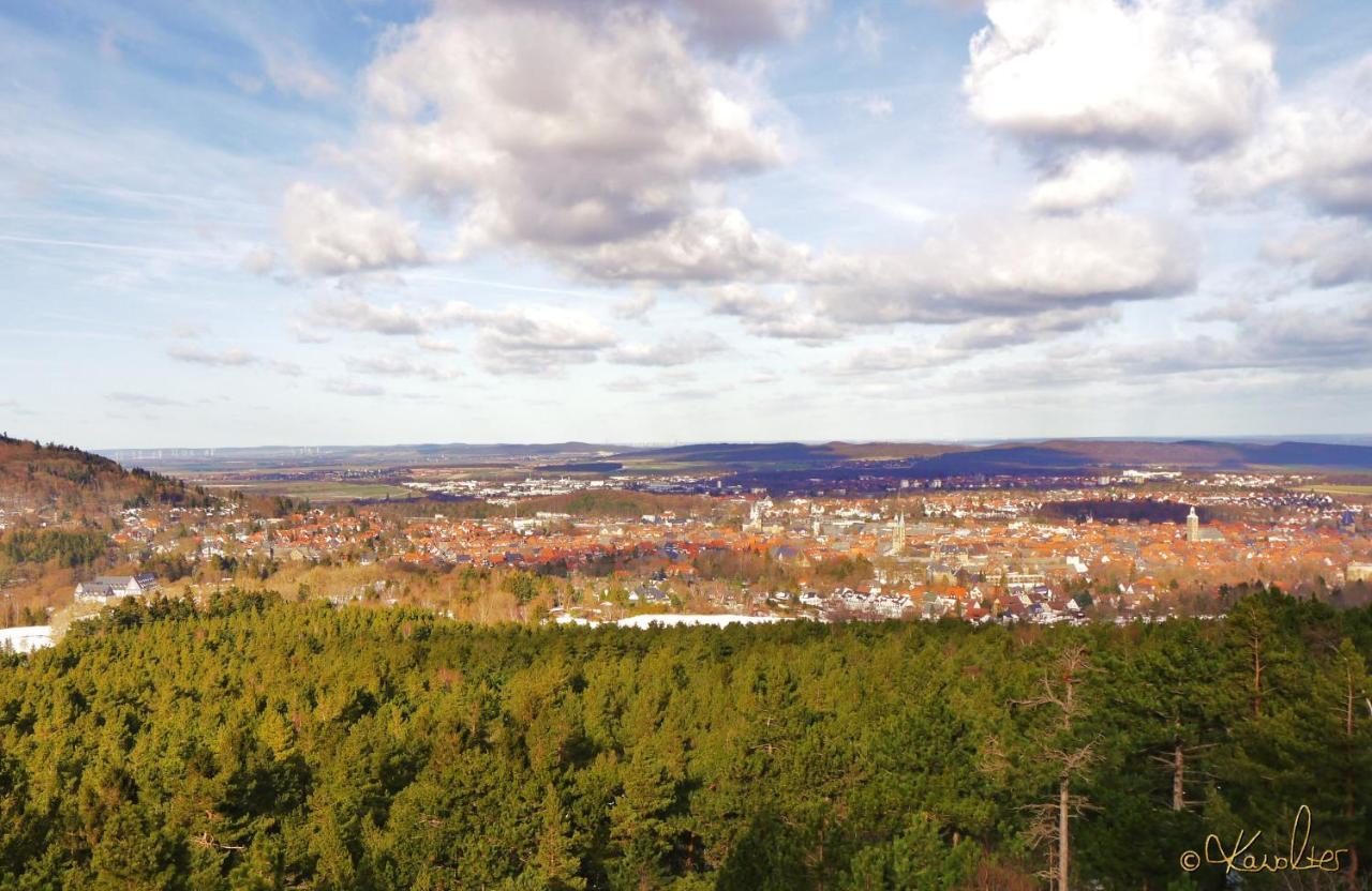 Haus-Wolter Lägenhet Goslar Exteriör bild